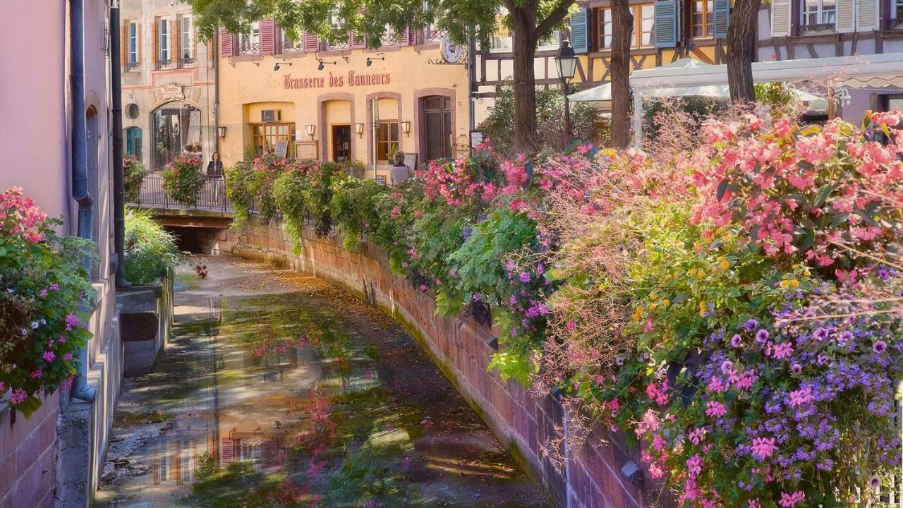 Residences Du Theatre Colmar Buitenkant foto